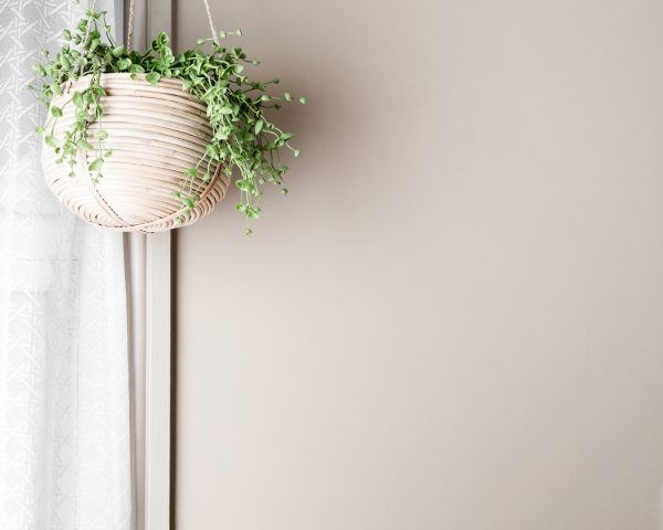 Home Vibes 50+ Styled Stock Images